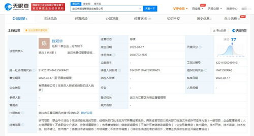 市場(chǎng)信息咨詢 洞察趨勢(shì)脈動(dòng)，探尋商業(yè)智慧