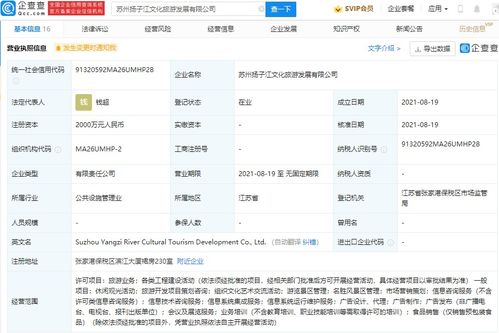市場(chǎng)信息咨詢 洞察趨勢(shì)，驅(qū)動(dòng)決策